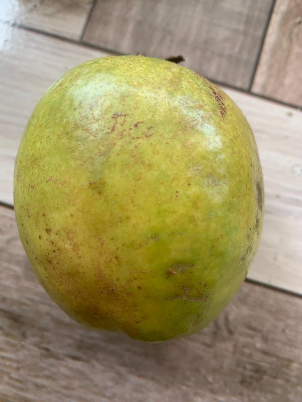 Guayaba's foto | El Rincón de la Suiza |  BizneCubano